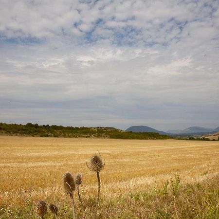 Casa Campo, Casa Rural Entre Jaca Y Anso Biniés Buitenkant foto
