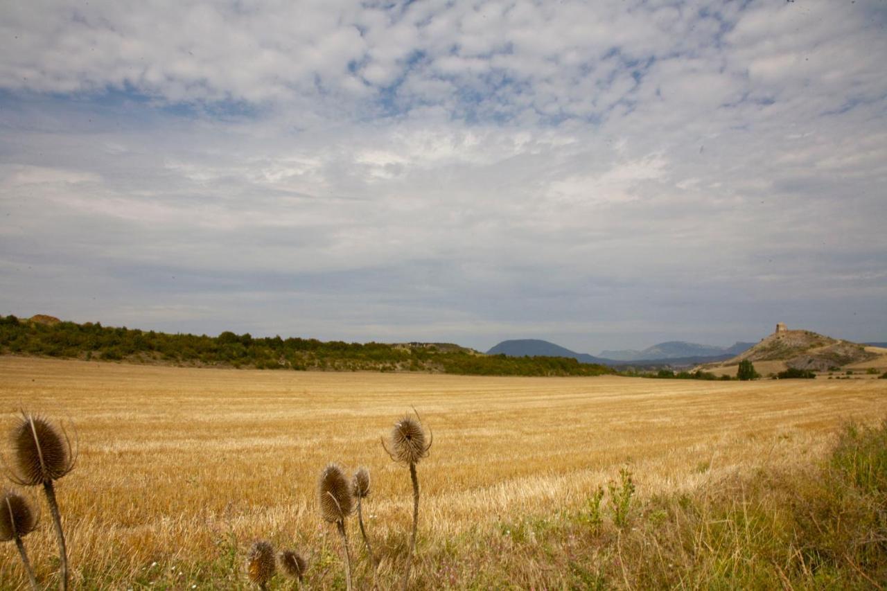 Casa Campo, Casa Rural Entre Jaca Y Anso Biniés Buitenkant foto